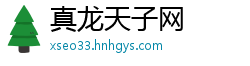 真龙天子网